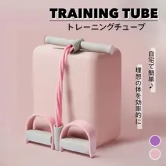 トレーニングチューブ 宅トレチューブ シットアップチューブ 筋トレ 尻トレ