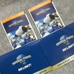 usjチケット 2枚