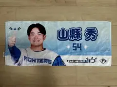 山縣秀 いいねシリーズ タオル