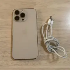 Apple iPhone13Pro 256GB SIMフリー本体充電ケーブル付き