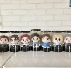 GOT7 ドール GOT7 =OFFICIAL GOODs= GOTOON DOLL 人形 (ARRIVAL Ver.)(公式