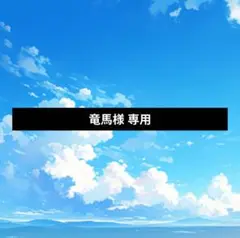 竜馬様 リクエスト 2点 まとめ商品