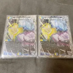 2026年最新】パーフェクトペテンシーの人気アイテム - メルカリ
