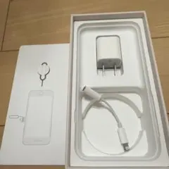 新品未使用⭐︎充電器とライトニングアダプタセット