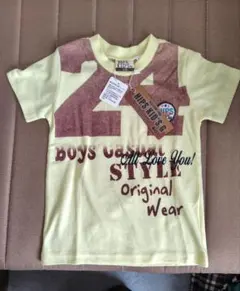 Item thumbnail for item a5c3dae5-2508-4603-b541-db4938c64688