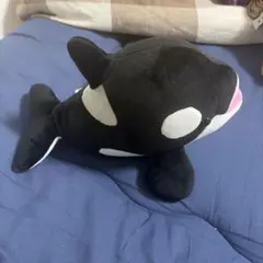 シャチ ぬいぐるみ 須磨シーワールドオルカくじ