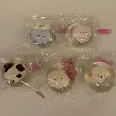Xinxin シンシン アニマルクリスタルボールシリーズ5個セット
