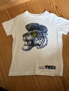 Item thumbnail for item 1ab619f1-762d-4c77-b454-459dc3f22904