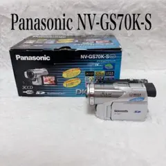 2026年最新】panasonic nv-gs70の人気アイテム - メルカリ