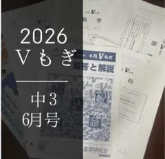 2026年最新】Vもぎの人気アイテム - メルカリ