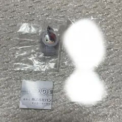 ヒロアカ　めじるしアクセサリー　轟焦凍