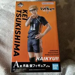 ハイキュー!! 月島蛍 一番くじA賞 ゴミ捨て場の決戦