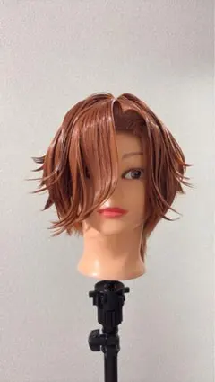 2026年最新】ありさか コスプレ crの人気アイテム - メルカリ