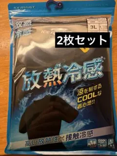 ICE ASSIST 放熱冷感 半袖Tシャツ 3L 2枚セットのサムネイル