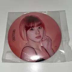 【匿名発送】TWICE TWICELIGHTS BIG缶バッチ チェヨン