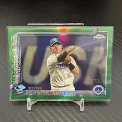 Item thumbnail for item 9244b858-4b66-4bd8-8f21-813ea604b089