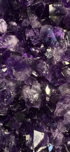 確認用専用出品49