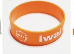 iwai SMILE Project 岩井明愛　岩井千怜