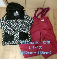 スノーボードウェア　セット　スキーウェア　Lサイズ　女性　レディース