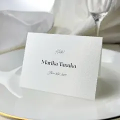 Item thumbnail for item a039fd72-4cdd-4fe3-b17e-653091f61cc2