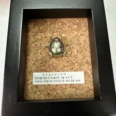 大人の昆虫採集シリーズ ナナホシテントウ SILVER 925 ピンバッジ