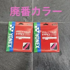 ポリツアープロ125 2張りセット