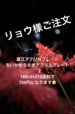 リュウ様ご注文まとめ買い