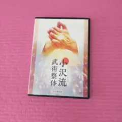 小沢流 武術整体 極意 DVD 5枚セット 特典ディスク付き 小沢流 武術整体 極意 DVD 5枚セット 特典ディスク付き