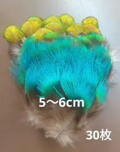 しーちゃん様 リクエスト 2点 まとめ商品