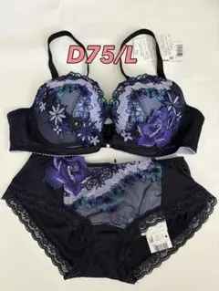 新品】wacoal サルート 06 ブラ ソング ガーター D75M KO - メルカリ
