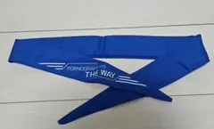 ポルノグラフィティ 横浜ロマンスポルノ'16 THE WAY クールネックタオル