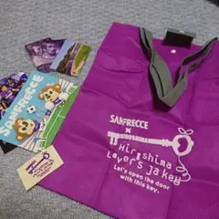 サンフレッチェ広島 バッグ Road to Champ 2005 サンフレッチェ広島 バッグ Road to Champ 2005 - メルカリ