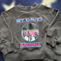 LOWRYS FARM アリゾナ風景トレーナー