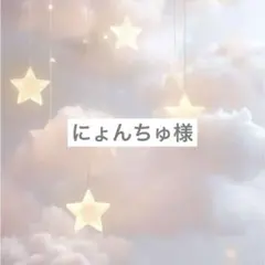 にょんちゅ様専用ページ