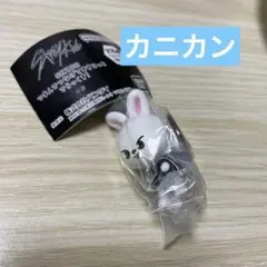 StrayKids SKZOO ガチャ リービット リノ