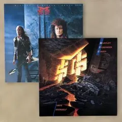 国内盤 マッコーリー・シェンカー・グループ／LP2枚セット