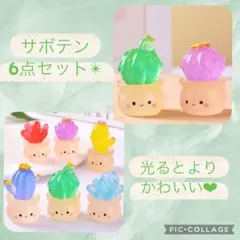 光る多肉植物 ミニフィギュア 6個 サボテン テラリウム 苔リウム 蓄光　癒し