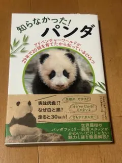 パンダ様 リクエスト 2点 まとめ商品 j.pan.29様 リクエスト 2点 まとめ商品 - メルカリ