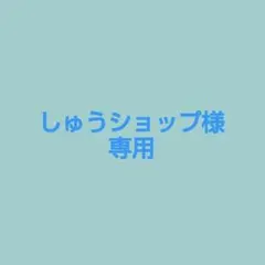 しゅうショップ様専用