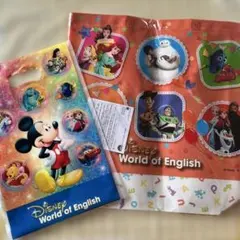 ディズニー ワールドオブイングリッシュ 袋