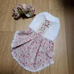 Item thumbnail for item 042f17b0-9ebb-431c-8290-f87b08c4d7c3