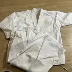 Item thumbnail for item 8c6f40e1-fb2e-4d67-a239-911c94999ba0