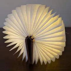 Item thumbnail for item 5f1567ce-a39a-4103-a41e-130b091fbcff