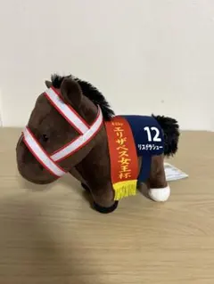 2026年最新】リスグラシューぬいぐるみの人気アイテム - メルカリ