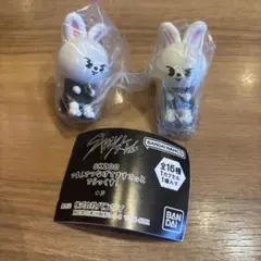 SKZOO つまんでつなげてますこっと でらっくす！リービット 2点セット