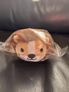 Item thumbnail for item 6fda39b0-fdfe-42b5-82cd-9d2287b1c188