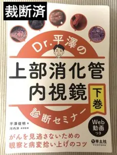 2026年最新】平澤 内視鏡の人気アイテム - メルカリ