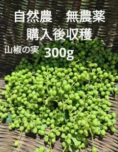 自然農 無農薬 山椒の実 300gのサムネイル
