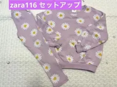 zaraセットアップ