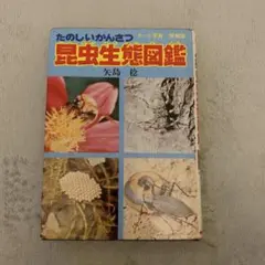 Item thumbnail for item 6cbead91-c88f-4a21-886d-b30017ae3a97